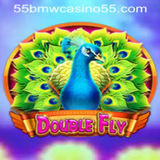 DoubleFly: A New Sensation in the World of Online Gaming and Casino